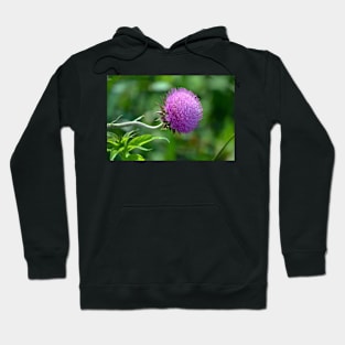 Purple Prairie Plant Hoodie